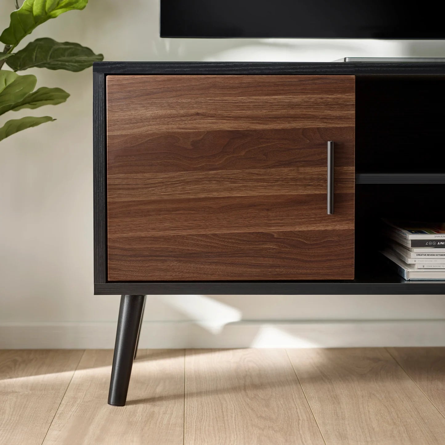 Wooden cabinet with a plant and books in the background